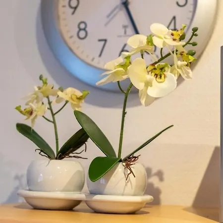 Wattlooper Apartment