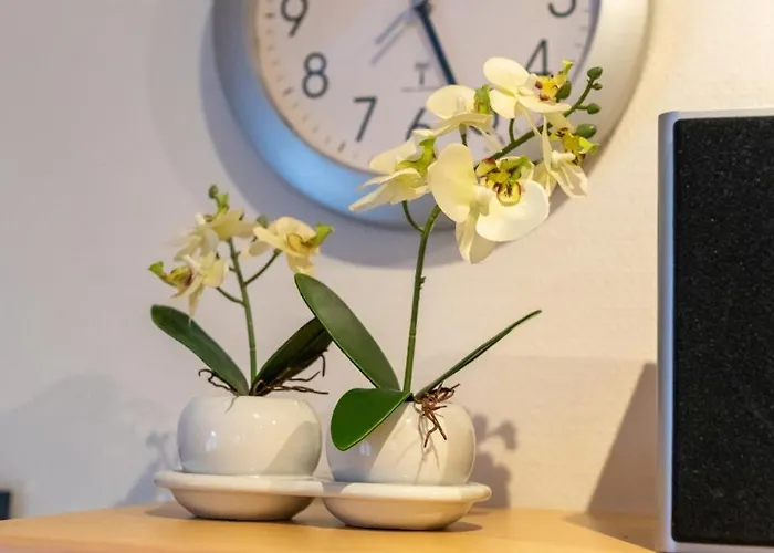 Wattlooper 아파트